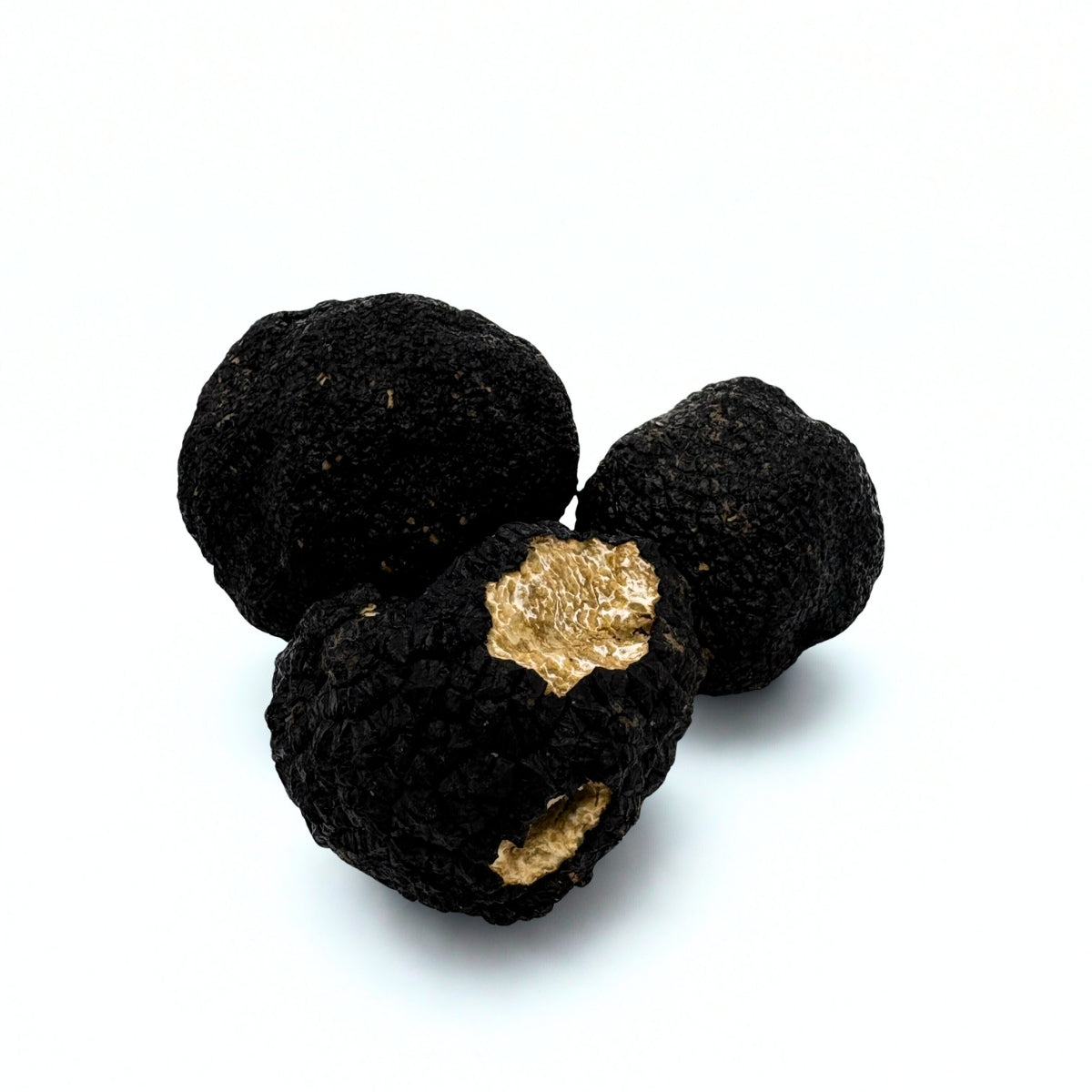 Verse Limburgse Herfsttruffel – Tuber Uncinatum