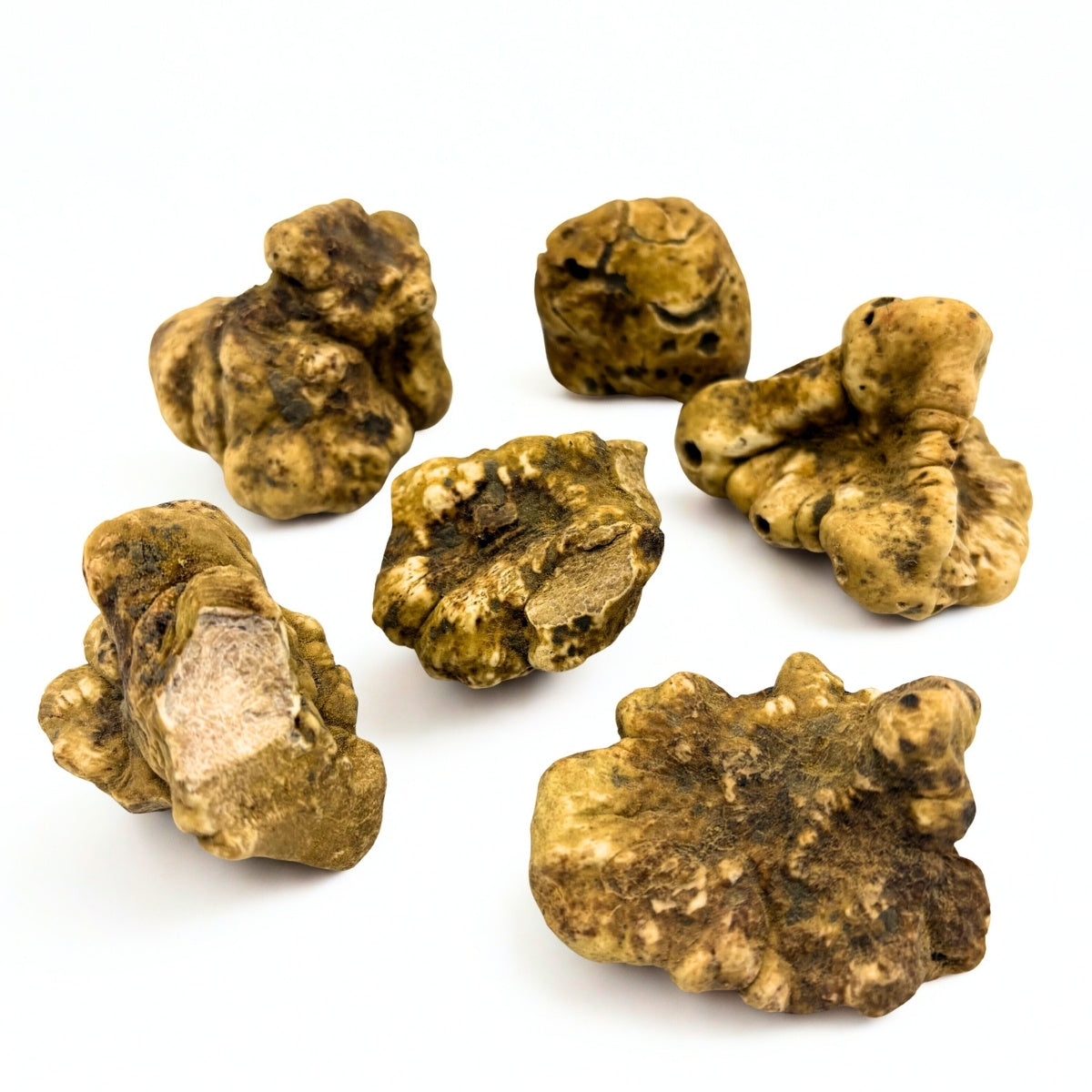 witte truffel magnatum pico vers