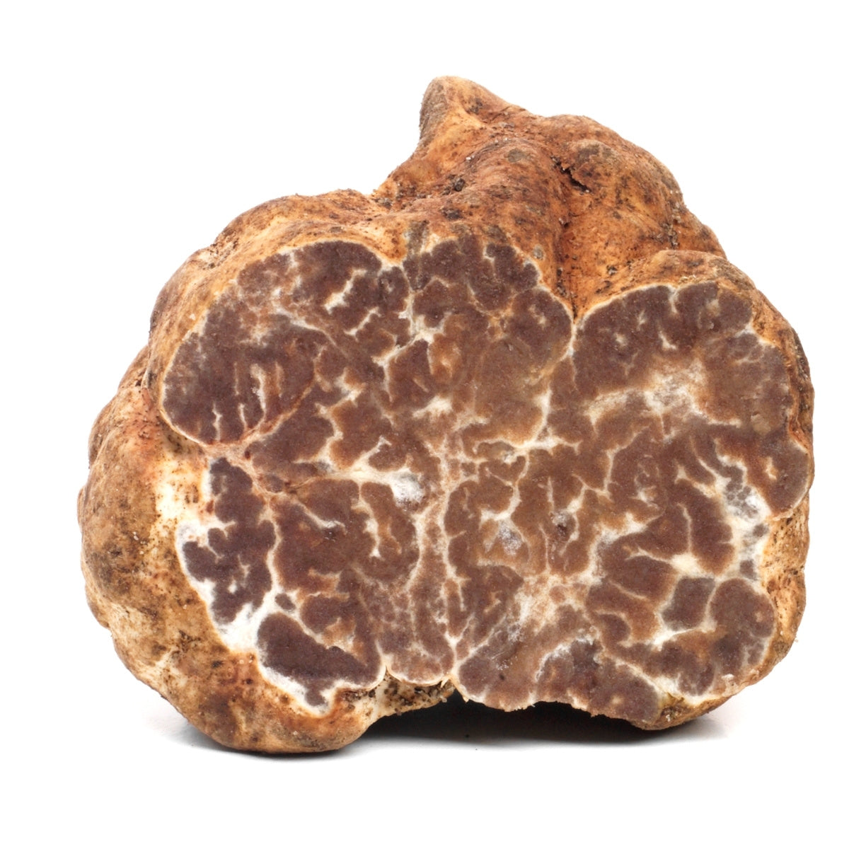 bianchetti voorjaarstruffel