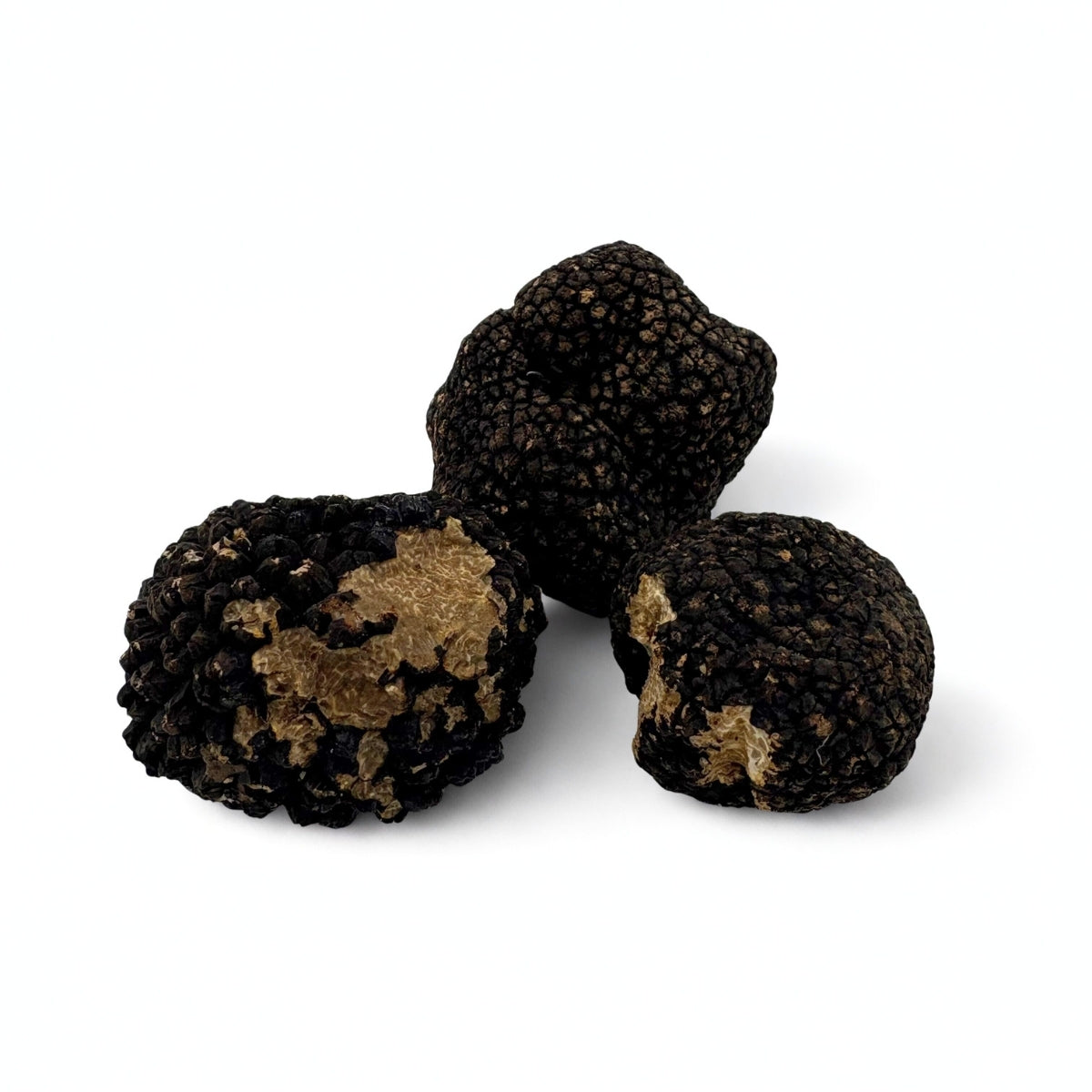 herfst truffel hongarije tuber uncinatum