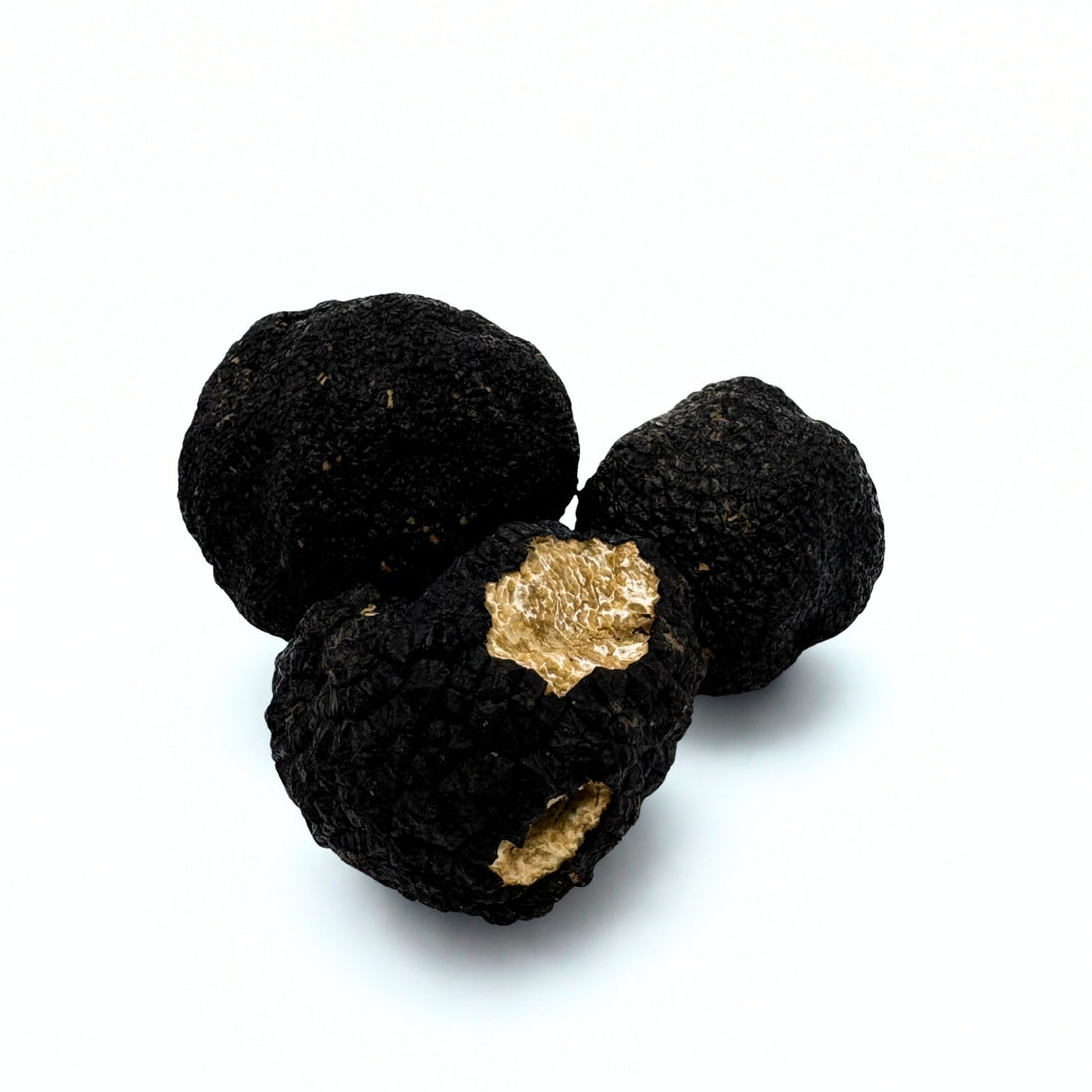 Verse Limburgse Herfsttruffel – Tuber Uncinatum