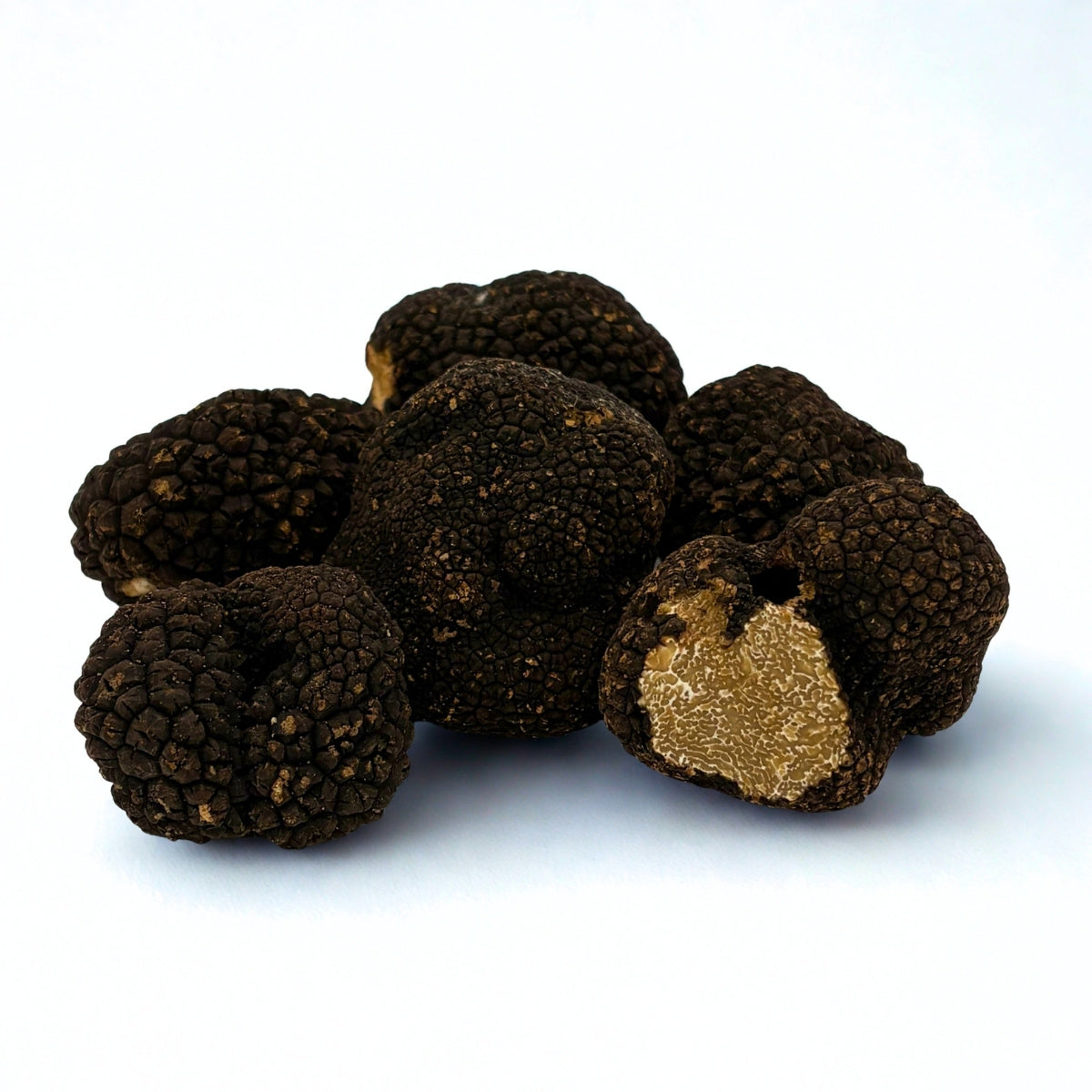 verse zomer truffel italie tuber aestivum