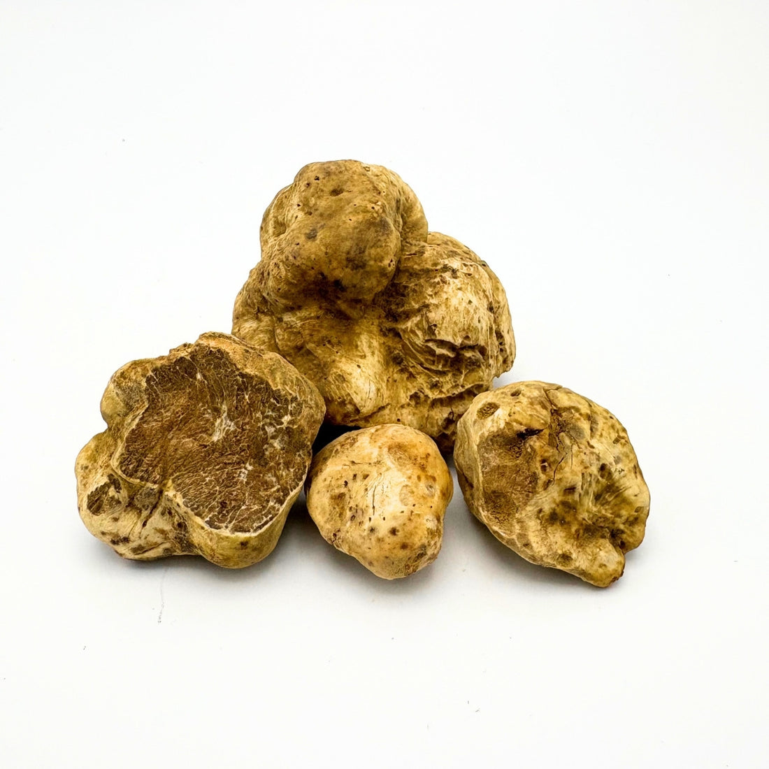 witte truffel tuber magnatum pico